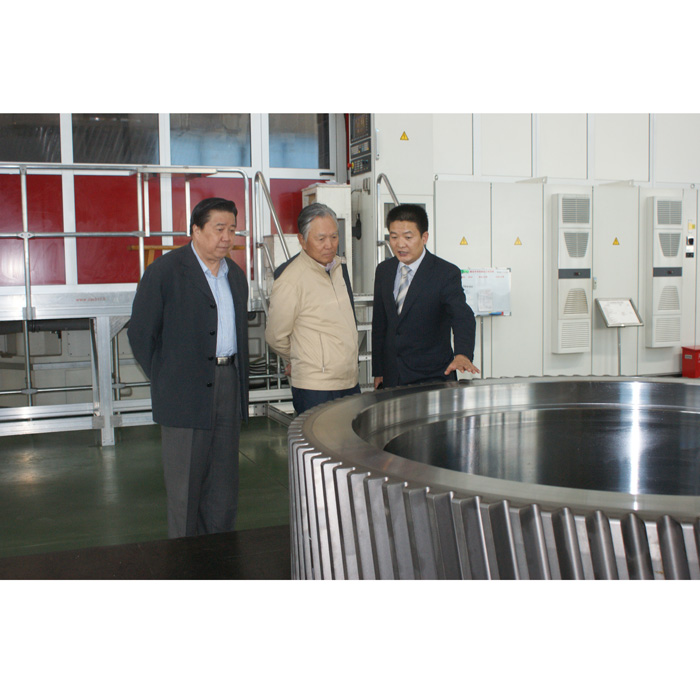 前江蘇副省長楊曉棠視察天山重工